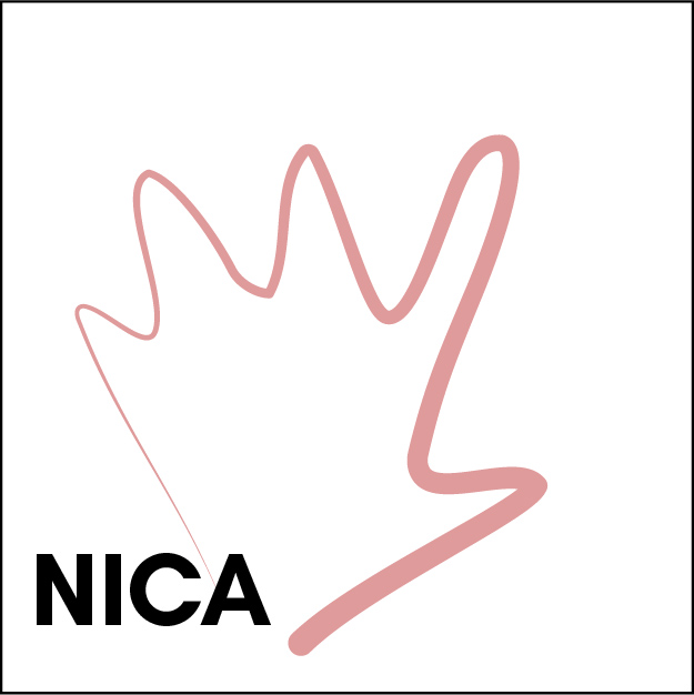 NICA (PDF)