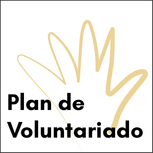 Plan de Voluntariado (PDF)